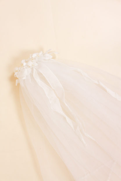 Schleier Transparent